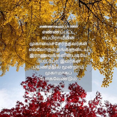 Picture 04 - எண்ணாகமம் 2:24 TAMIRV - எண்ணப்பட்ட - Bible Verse Picture
