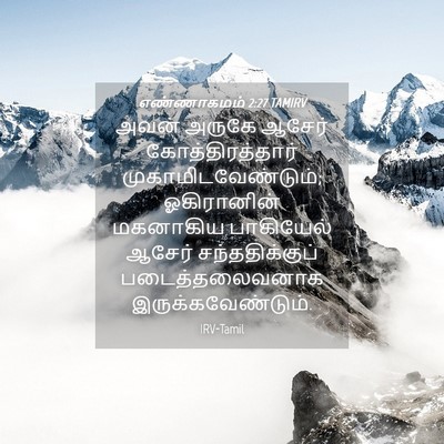 Picture 04 - எண்ணாகமம் 2:27 TAMIRV - அவன் அருகே ஆசேர் - Bible Verse Picture