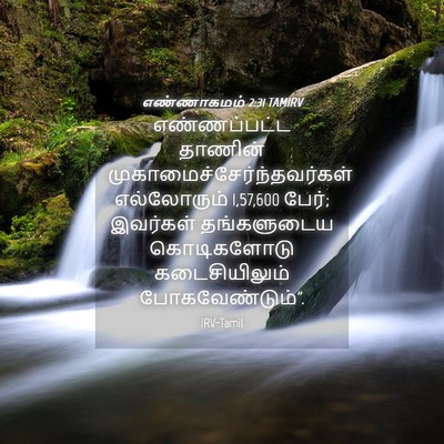 Picture 04 - எண்ணாகமம் 2:31 TAMIRV - எண்ணப்பட்ட தாணின் - Bible Verse Picture