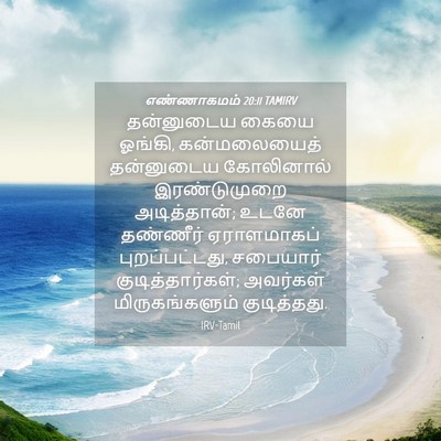 Picture 04 - எண்ணாகமம் 20:11 TAMIRV - தன்னுடைய கையை - Bible Verse Picture