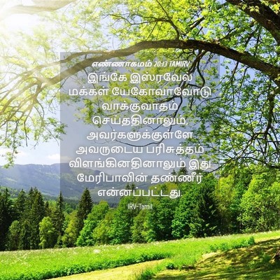 Picture 04 - எண்ணாகமம் 20:13 TAMIRV - இங்கே இஸ்ரவேல் - Bible Verse Picture