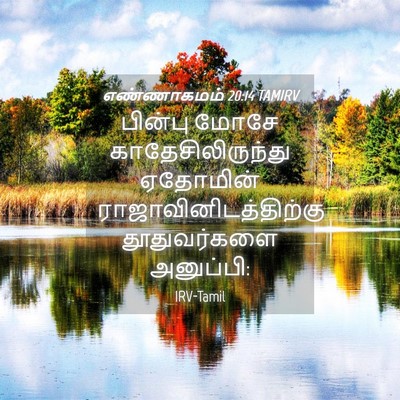 Picture 04 - எண்ணாகமம் 20:14 TAMIRV - பின்பு மோசே - Bible Verse Picture