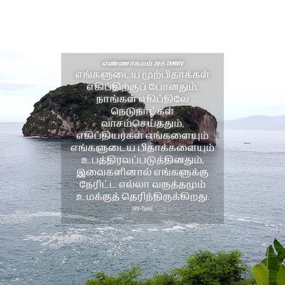 Picture 04 - எண்ணாகமம் 20:15 TAMIRV - எங்களுடைய - Bible Verse Picture