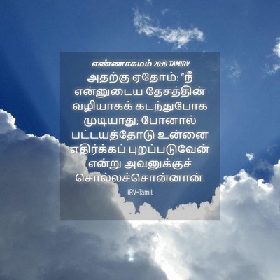 Picture 04 - எண்ணாகமம் 20:18 TAMIRV - அதற்கு ஏதோம்: “நீ - Bible Verse Picture