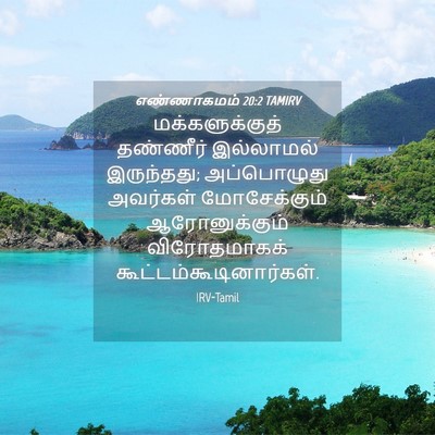 Picture 04 - எண்ணாகமம் 20:2 TAMIRV - மக்களுக்குத் - Bible Verse Picture