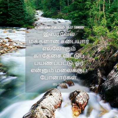 Picture 04 - எண்ணாகமம் 20:22 TAMIRV - இஸ்ரவேல் மக்களான - Bible Verse Picture