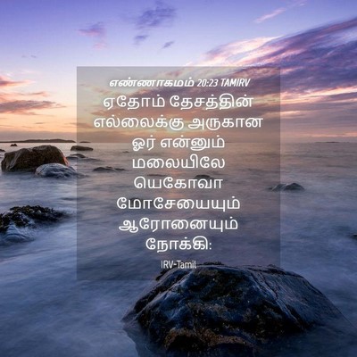 Picture 04 - எண்ணாகமம் 20:23 TAMIRV - ஏதோம் தேசத்தின் - Bible Verse Picture