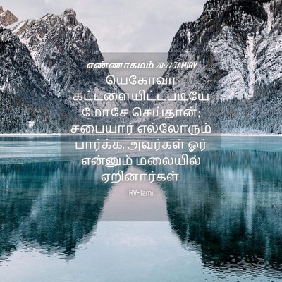 Picture 04 - எண்ணாகமம் 20:27 TAMIRV - யெகோவா - Bible Verse Picture