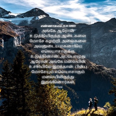 Picture 04 - எண்ணாகமம் 20:28 TAMIRV - அங்கே ஆரோன் - Bible Verse Picture