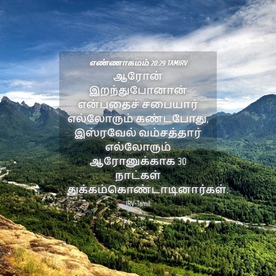 Picture 04 - எண்ணாகமம் 20:29 TAMIRV - ஆரோன் - Bible Verse Picture