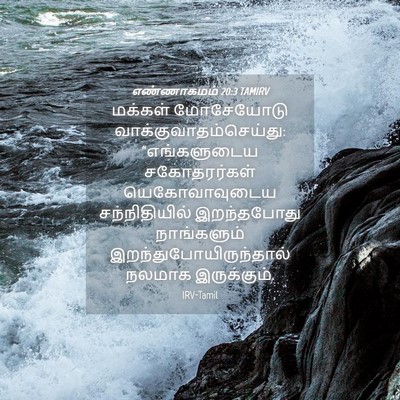 Picture 04 - எண்ணாகமம் 20:3 TAMIRV - மக்கள் மோசேயோடு - Bible Verse Picture