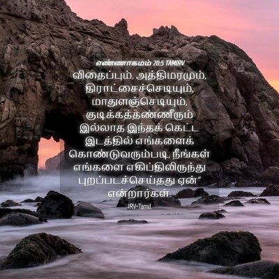 Picture 04 - எண்ணாகமம் 20:5 TAMIRV - விதைப்பும், - Bible Verse Picture