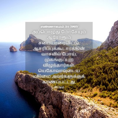 Picture 04 - எண்ணாகமம் 20:6 TAMIRV - அப்பொழுது - Bible Verse Picture
