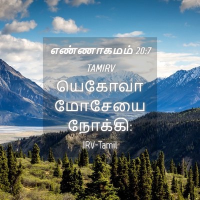 Picture 04 - எண்ணாகமம் 20:7 TAMIRV - யெகோவா மோசேயை - Bible Verse Picture