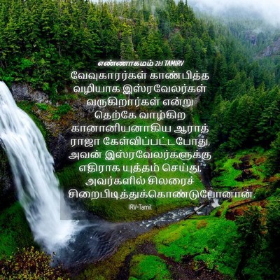 Picture 04 - எண்ணாகமம் 21:1 TAMIRV - வேவுகாரர்கள் - Bible Verse Picture