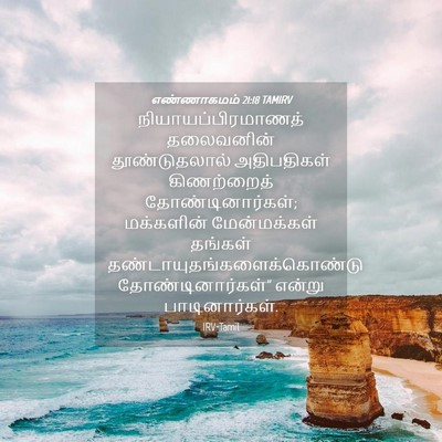 Picture 04 - எண்ணாகமம் 21:18 TAMIRV - நியாயப்பிரமாணத் - Bible Verse Picture