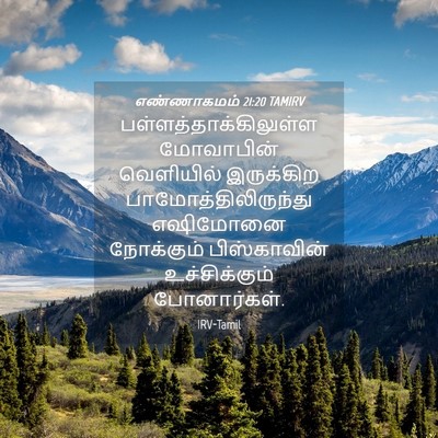 Picture 04 - எண்ணாகமம் 21:20 TAMIRV -  - Bible Verse Picture