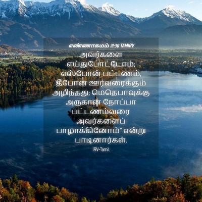 Picture 04 - எண்ணாகமம் 21:30 TAMIRV - அவர்களை - Bible Verse Picture
