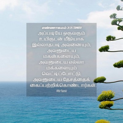 Picture 04 - எண்ணாகமம் 21:35 TAMIRV - அப்படியே ஒருவரும் - Bible Verse Picture