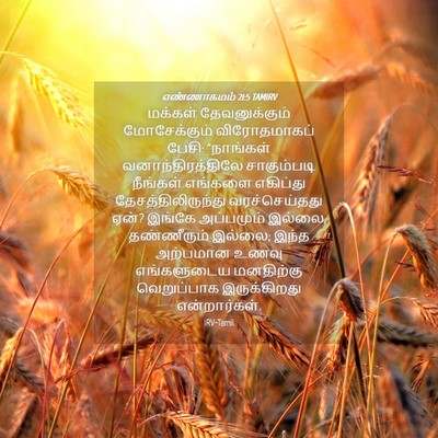 Picture 04 - எண்ணாகமம் 21:5 TAMIRV - மக்கள் - Bible Verse Picture