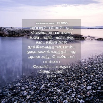 Picture 04 - எண்ணாகமம் 21:9 TAMIRV - அப்படியே மோசே ஒரு - Bible Verse Picture