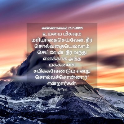 Picture 04 - எண்ணாகமம் 22:17 TAMIRV - உம்மை மிகவும் - Bible Verse Picture