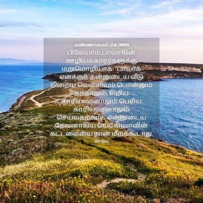 Picture 04 - எண்ணாகமம் 22:18 TAMIRV - பிலேயாம் பாலாகின் - Bible Verse Picture