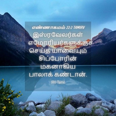 Picture 04 - எண்ணாகமம் 22:2 TAMIRV - இஸ்ரவேலர்கள் - Bible Verse Picture