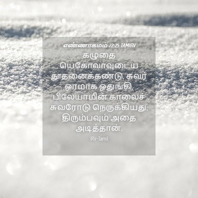 Picture 04 - எண்ணாகமம் 22:25 TAMIRV - கழுதை யெகோவாவுடைய - Bible Verse Picture