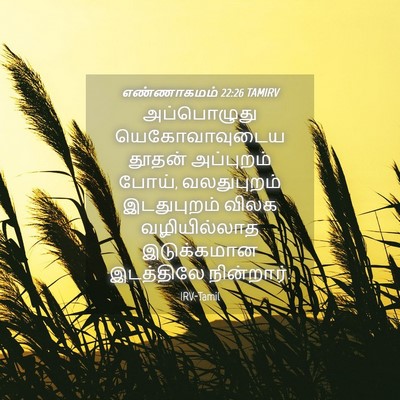 Picture 04 - எண்ணாகமம் 22:26 TAMIRV - அப்பொழுது - Bible Verse Picture