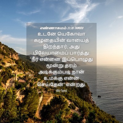 Picture 04 - எண்ணாகமம் 22:28 TAMIRV - உடனே யெகோவா - Bible Verse Picture