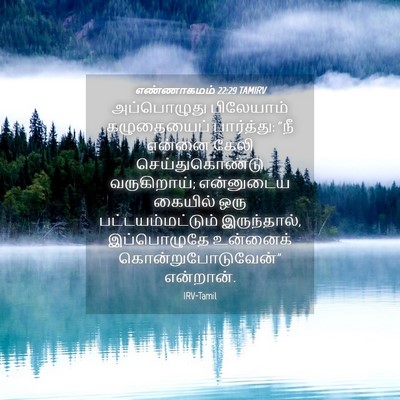 Picture 04 - எண்ணாகமம் 22:29 TAMIRV - அப்பொழுது - Bible Verse Picture