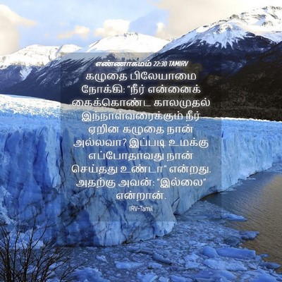 Picture 04 - எண்ணாகமம் 22:30 TAMIRV - கழுதை பிலேயாமை - Bible Verse Picture