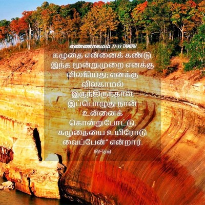 Picture 04 - எண்ணாகமம் 22:33 TAMIRV - கழுதை என்னைக் - Bible Verse Picture