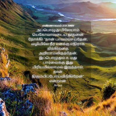 Picture 04 - எண்ணாகமம் 22:34 TAMIRV - அப்பொழுது - Bible Verse Picture