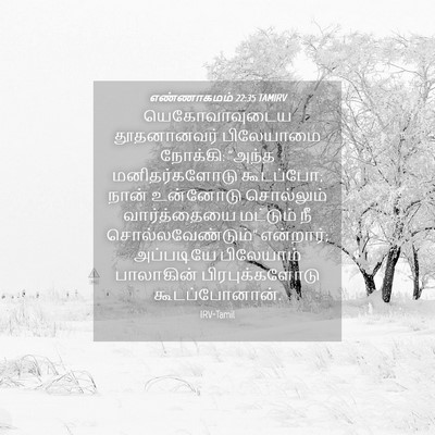 Picture 04 - எண்ணாகமம் 22:35 TAMIRV - யெகோவாவுடைய - Bible Verse Picture