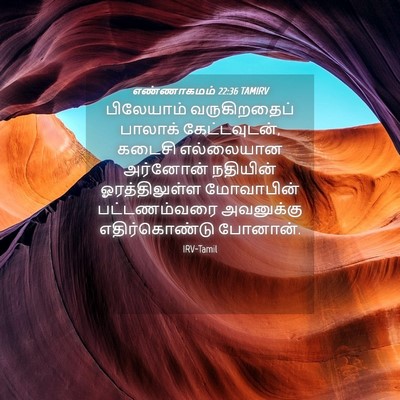 Picture 04 - எண்ணாகமம் 22:36 TAMIRV - பிலேயாம் - Bible Verse Picture