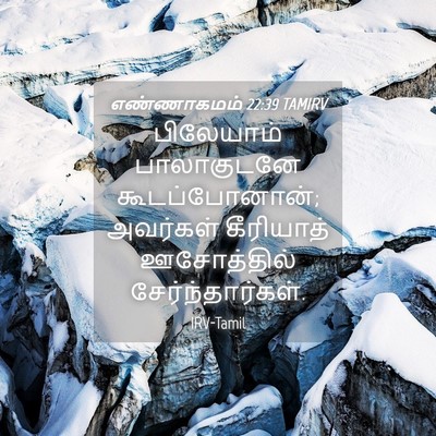 Picture 04 - எண்ணாகமம் 22:39 TAMIRV - பிலேயாம் - Bible Verse Picture
