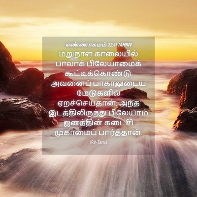 Picture 04 - எண்ணாகமம் 22:41 TAMIRV - மறுநாள் காலையில் - Bible Verse Picture