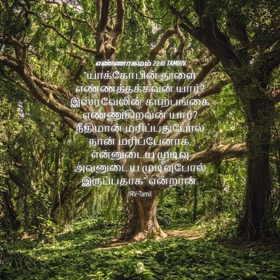 Picture 04 - எண்ணாகமம் 23:10 TAMIRV - “யாக்கோபின் தூளை - Bible Verse Picture