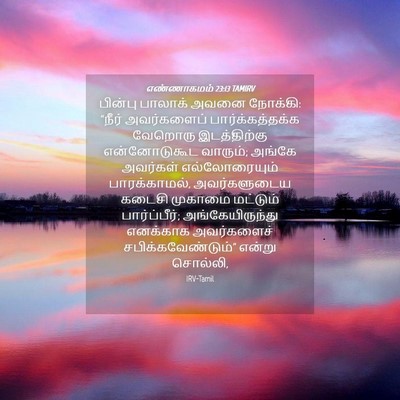 Picture 04 - எண்ணாகமம் 23:13 TAMIRV - பின்பு பாலாக் - Bible Verse Picture