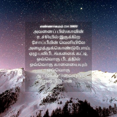Picture 04 - எண்ணாகமம் 23:14 TAMIRV - அவனைப் பிஸ்காவின் - Bible Verse Picture
