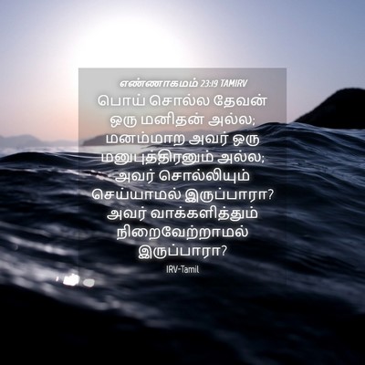 Picture 04 - எண்ணாகமம் 23:19 TAMIRV - பொய் சொல்ல தேவன் - Bible Verse Picture