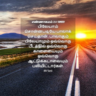 Picture 04 - எண்ணாகமம் 23:2 TAMIRV - பிலேயாம் - Bible Verse Picture