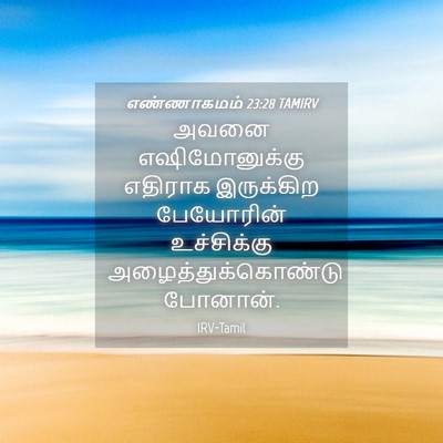 Picture 04 - எண்ணாகமம் 23:28 TAMIRV - அவனை எஷிமோனுக்கு - Bible Verse Picture