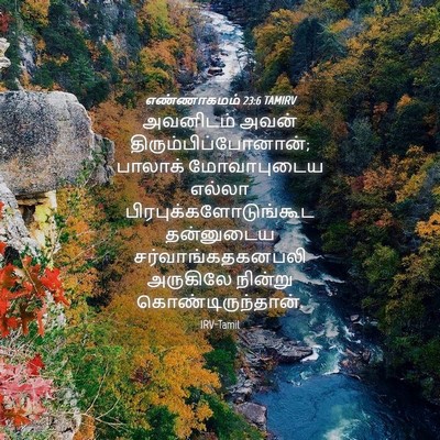 Picture 04 - எண்ணாகமம் 23:6 TAMIRV - அவனிடம் அவன் - Bible Verse Picture