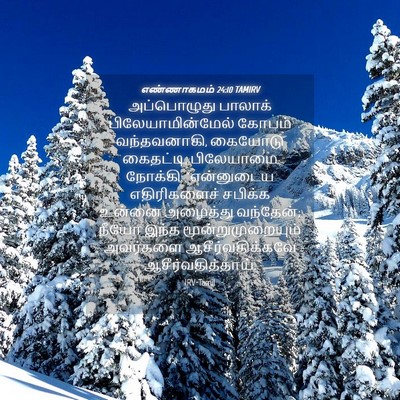 Picture 04 - எண்ணாகமம் 24:10 TAMIRV - அப்பொழுது பாலாக் - Bible Verse Picture
