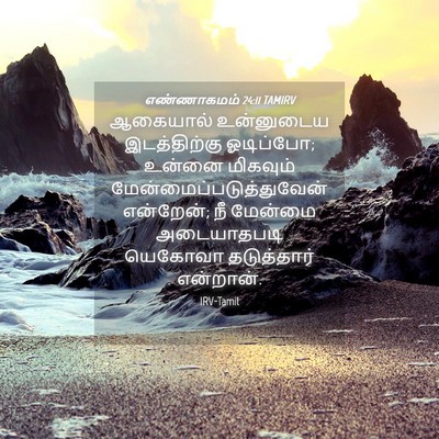 Picture 04 - எண்ணாகமம் 24:11 TAMIRV - ஆகையால் உன்னுடைய - Bible Verse Picture