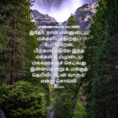 Picture 04 - எண்ணாகமம் 24:14 TAMIRV - இதோ, நான் என்னுடைய - Bible Verse Picture