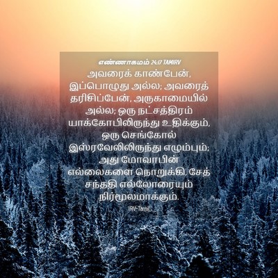 Picture 04 - எண்ணாகமம் 24:17 TAMIRV - அவரைக் காண்பேன், - Bible Verse Picture